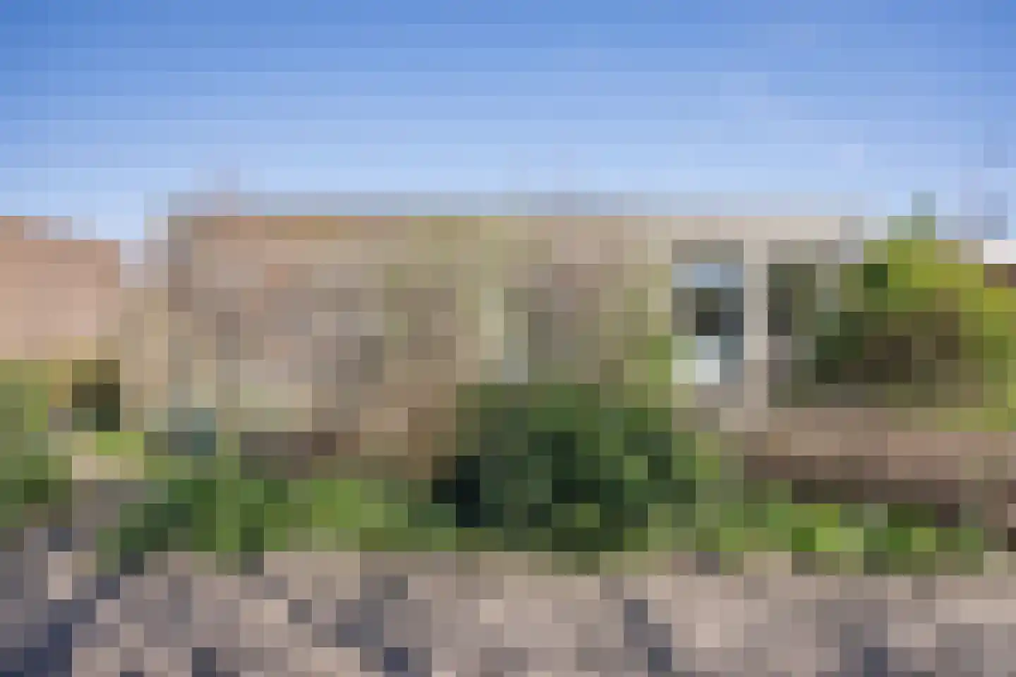 Mokweg 3 Den Hoorn thumbnail 32