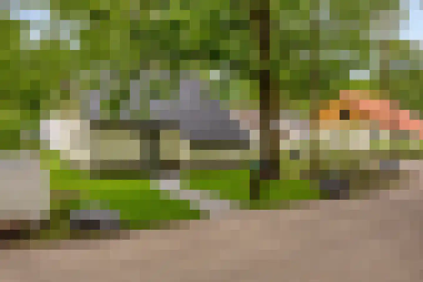 Mol 106 Uithoorn thumbnail 4