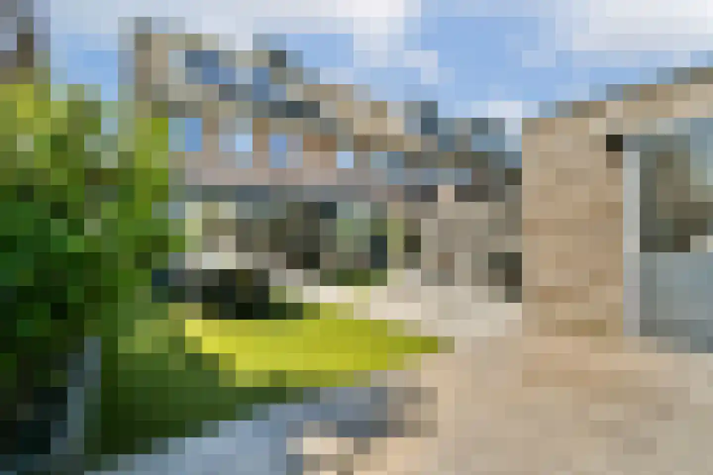 Mol 12 Uithoorn thumbnail 15