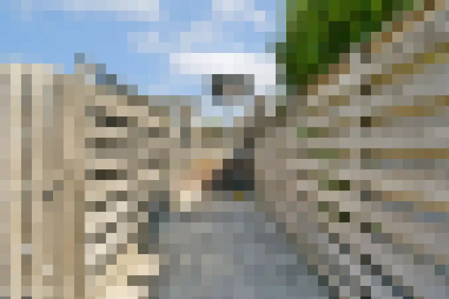 Mol 12 Uithoorn thumbnail 16