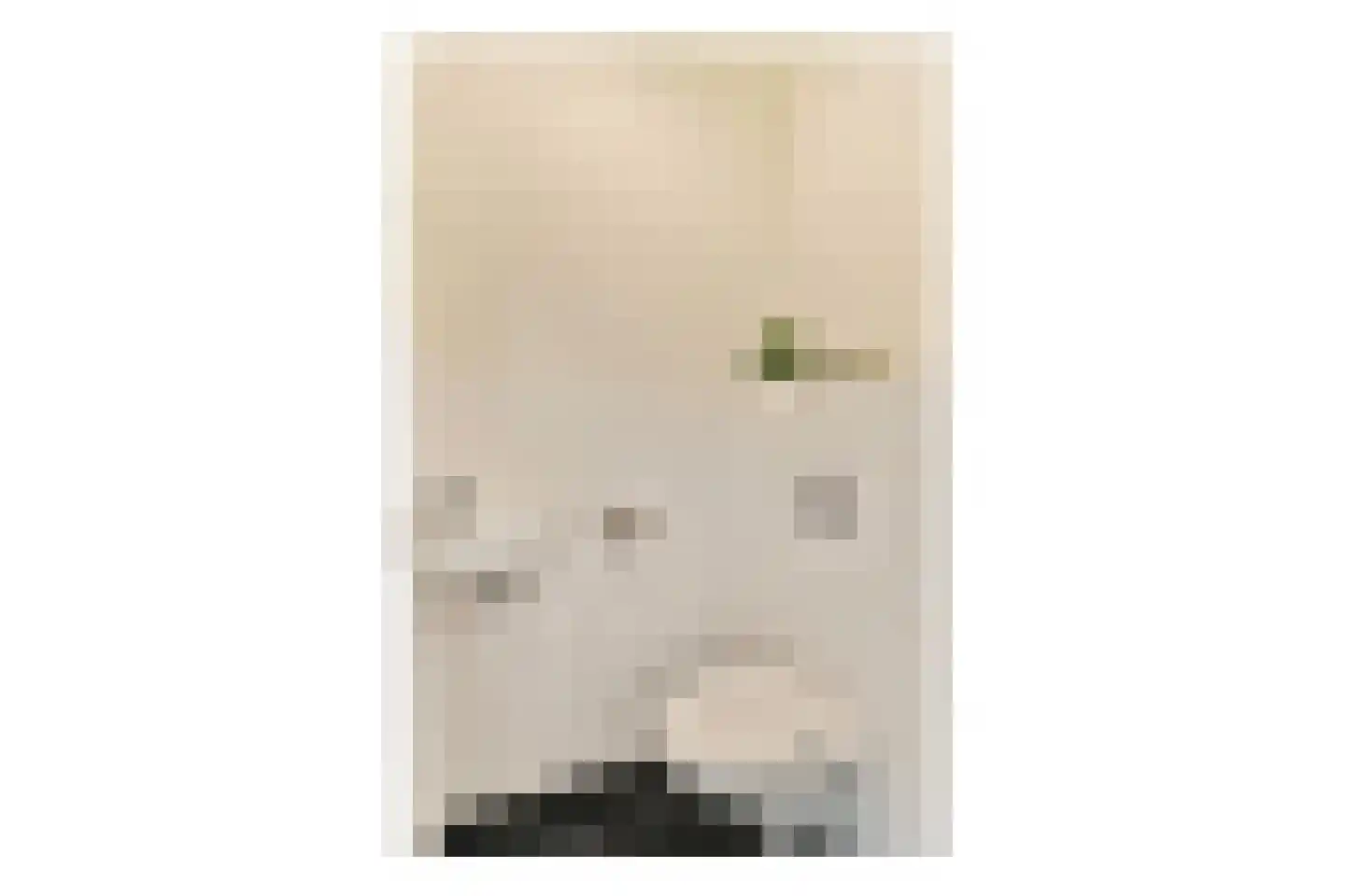 Mol 12 Uithoorn thumbnail 19