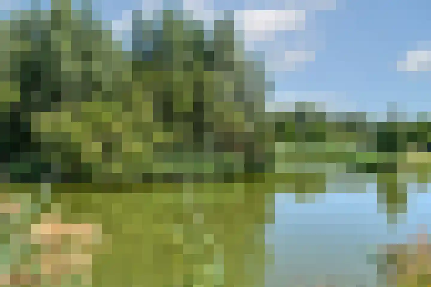 Mol 12 Uithoorn thumbnail 42