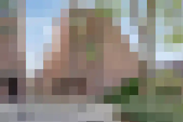 Molbord 2 Hellevoetsluis thumbnail 33