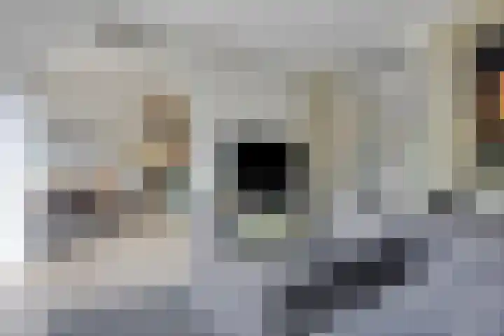 Molbord 2 Hellevoetsluis thumbnail 4