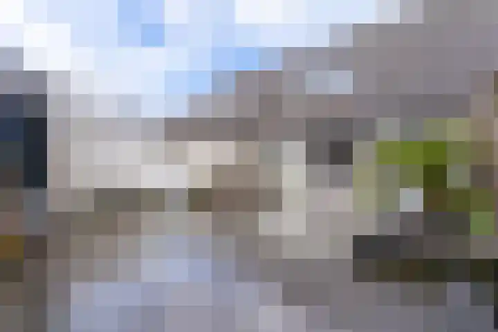 Molbord 30 Hellevoetsluis thumbnail 15