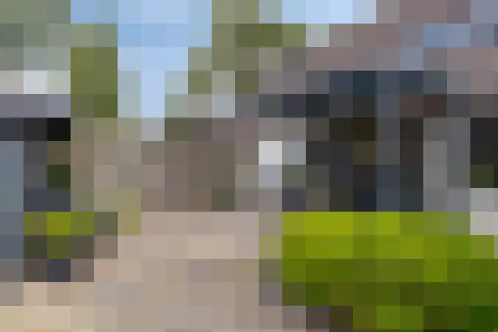 Molbord 4 Hellevoetsluis thumbnail 13