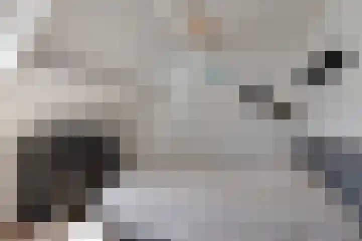 Molbord 4 Hellevoetsluis thumbnail 20