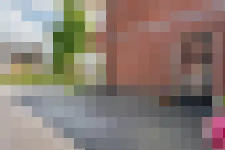 Molckenbourstraat 1 Hardenberg thumbnail 10