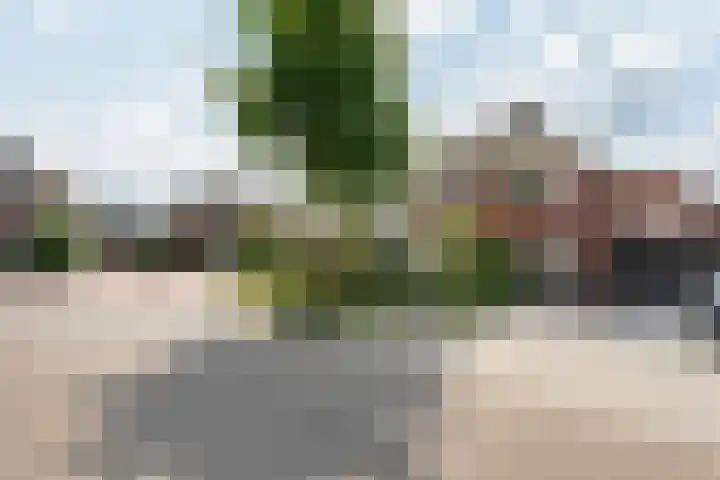 Molckenbourstraat 1 Hardenberg thumbnail 4