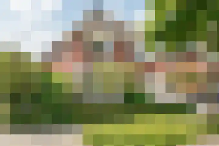 Molckenbourstraat 1 Hardenberg thumbnail 5