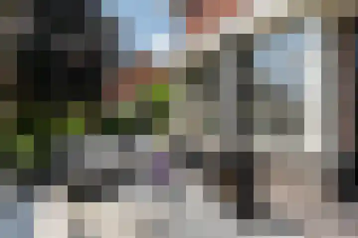 Molckenbourstraat 1 Hardenberg thumbnail 50