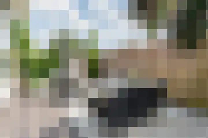 Molckenbourstraat 1 Hardenberg thumbnail 51