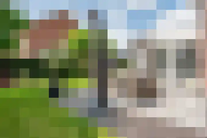 Molckenbourstraat 1 Hardenberg thumbnail 52