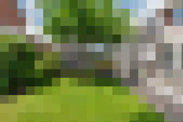 Molckenbourstraat 1 Hardenberg thumbnail 54