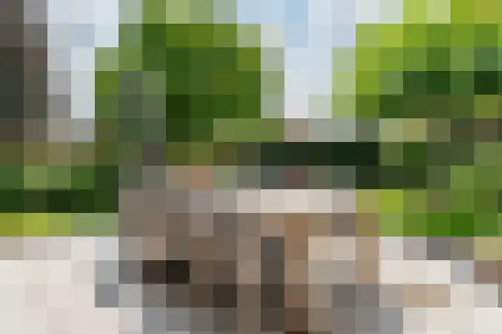 Molckenbourstraat 1 Hardenberg thumbnail 55