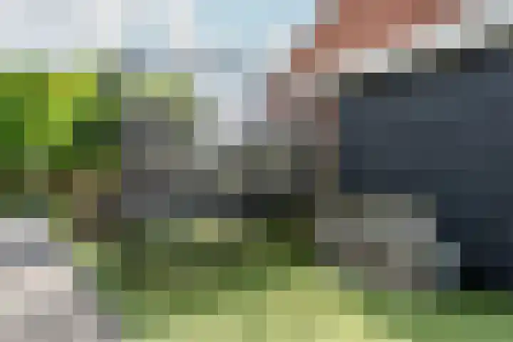 Molckenbourstraat 1 Hardenberg thumbnail 56