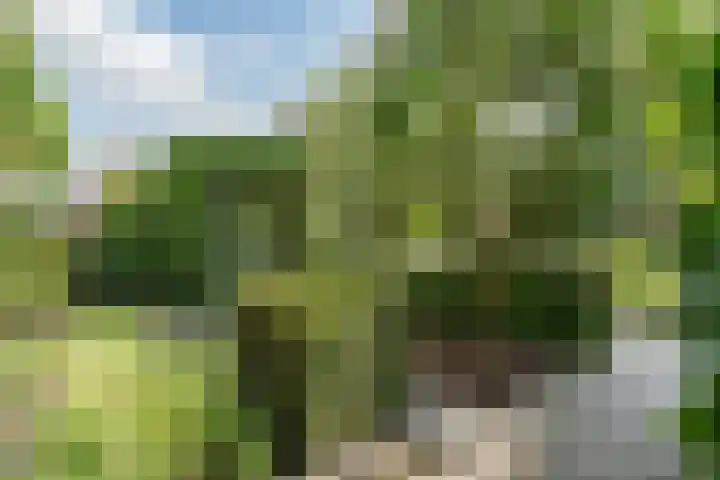 Molckenbourstraat 1 Hardenberg thumbnail 58