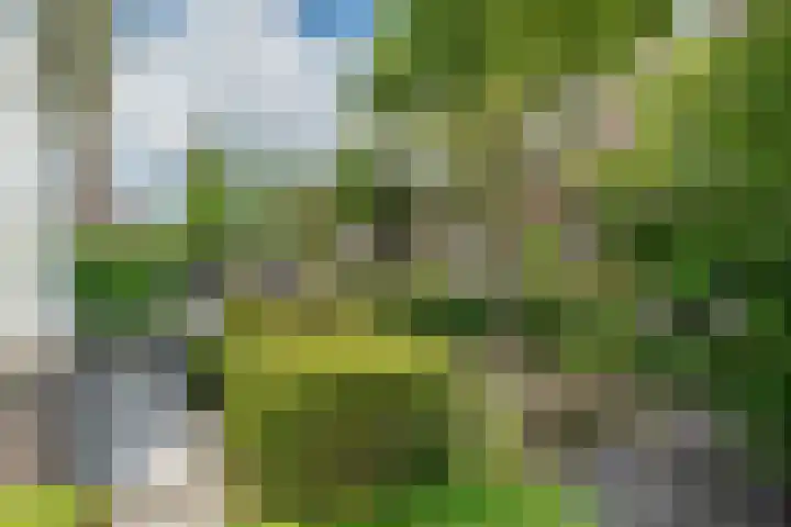 Molckenbourstraat 1 Hardenberg thumbnail 8