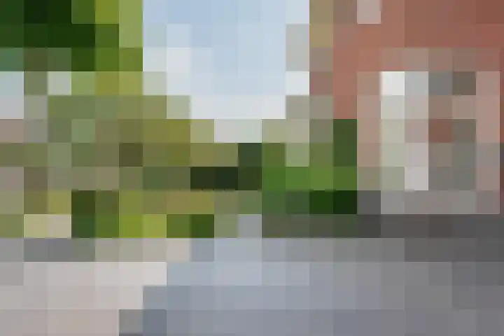Molckenbourstraat 1 Hardenberg thumbnail 9
