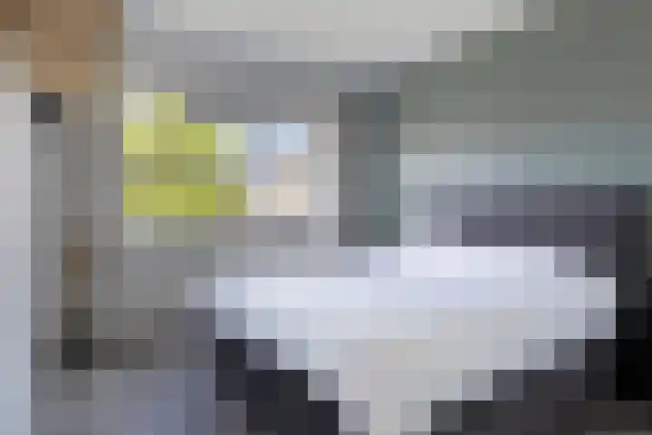 Molckenbourstraat 14 Hardenberg thumbnail 16