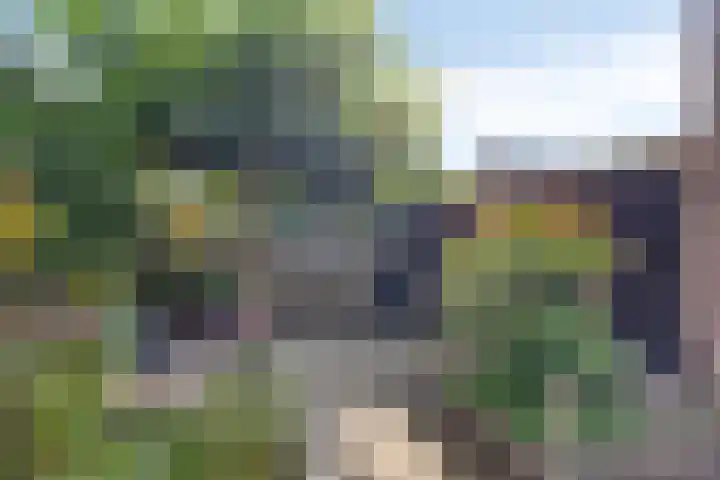 Molckenbourstraat 14 Hardenberg thumbnail 30