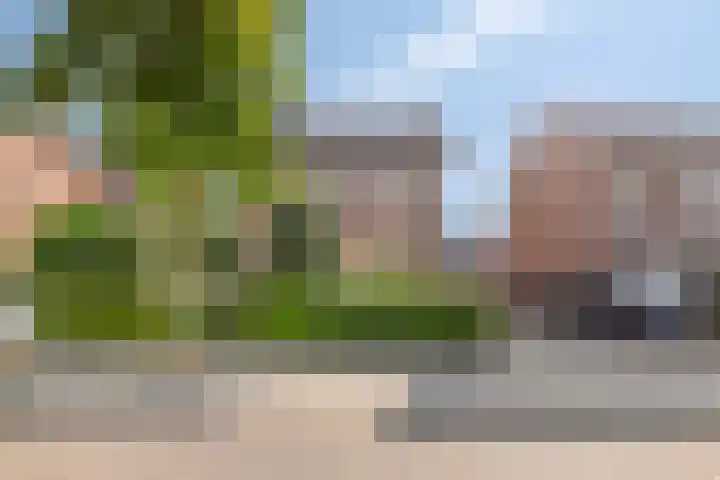 Molckenbourstraat 14 Hardenberg thumbnail 36