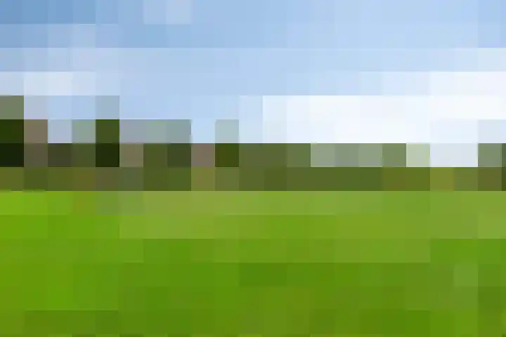 Molckenbourstraat 14 Hardenberg thumbnail 37