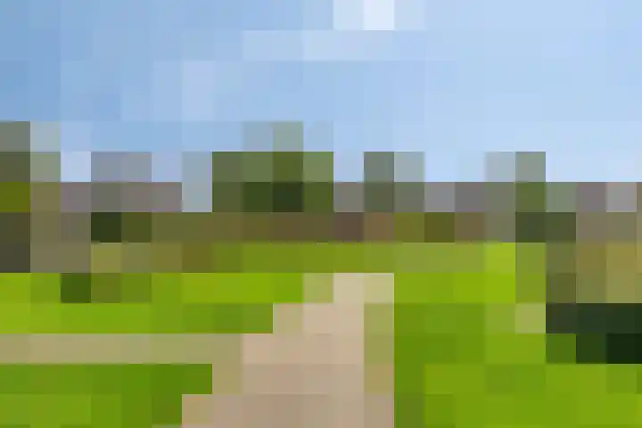Molckenbourstraat 14 Hardenberg thumbnail 38
