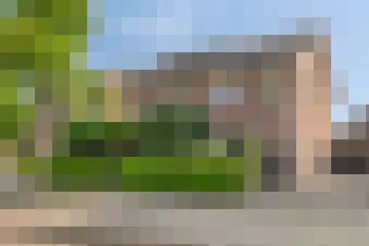 Molckenbourstraat 14 Hardenberg thumbnail 43