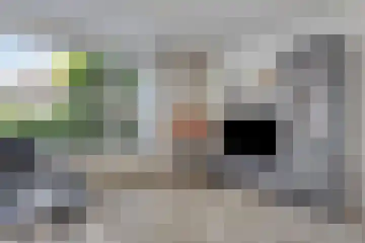 Molckenbourstraat 14 Hardenberg thumbnail 9