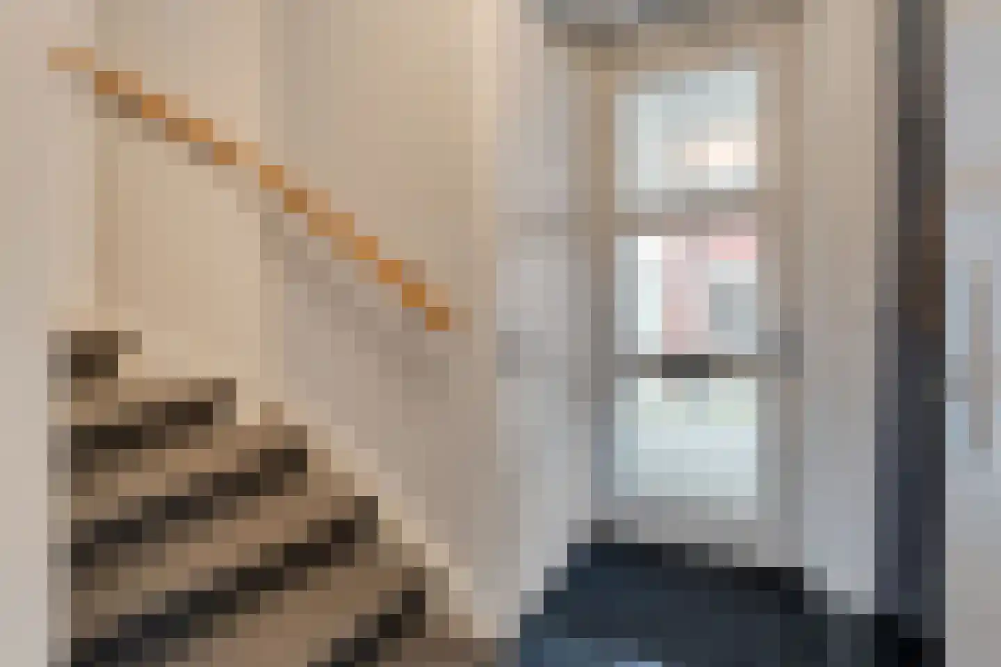 Molckenbourstraat 27 Hardenberg thumbnail 22