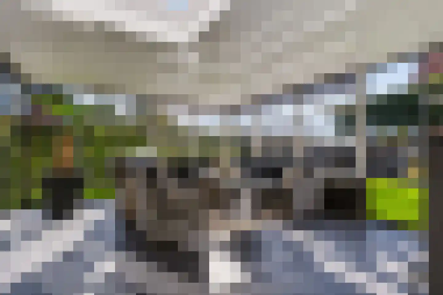 Molckenbourstraat 27 Hardenberg thumbnail 4