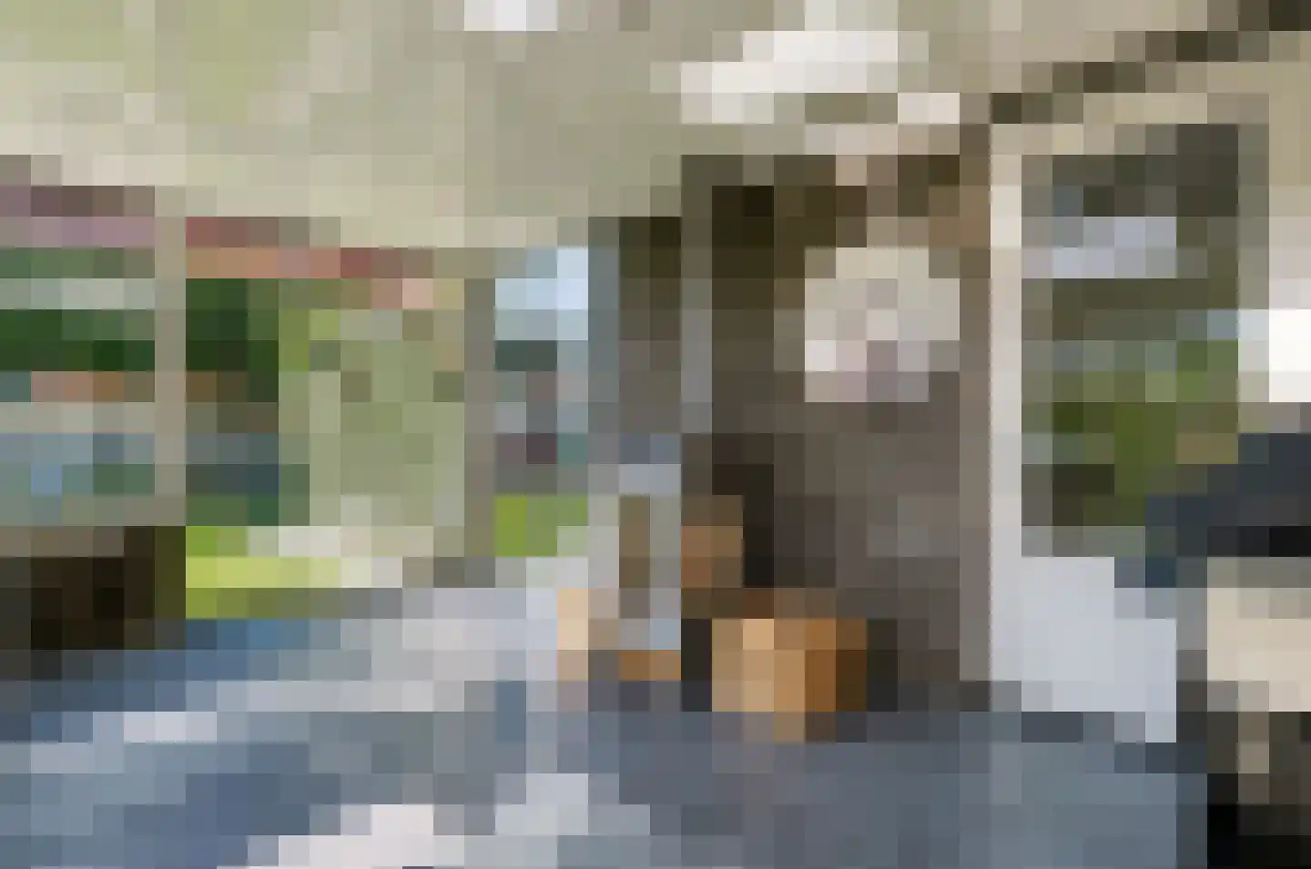 Molckenbourstraat 27 Hardenberg thumbnail 46