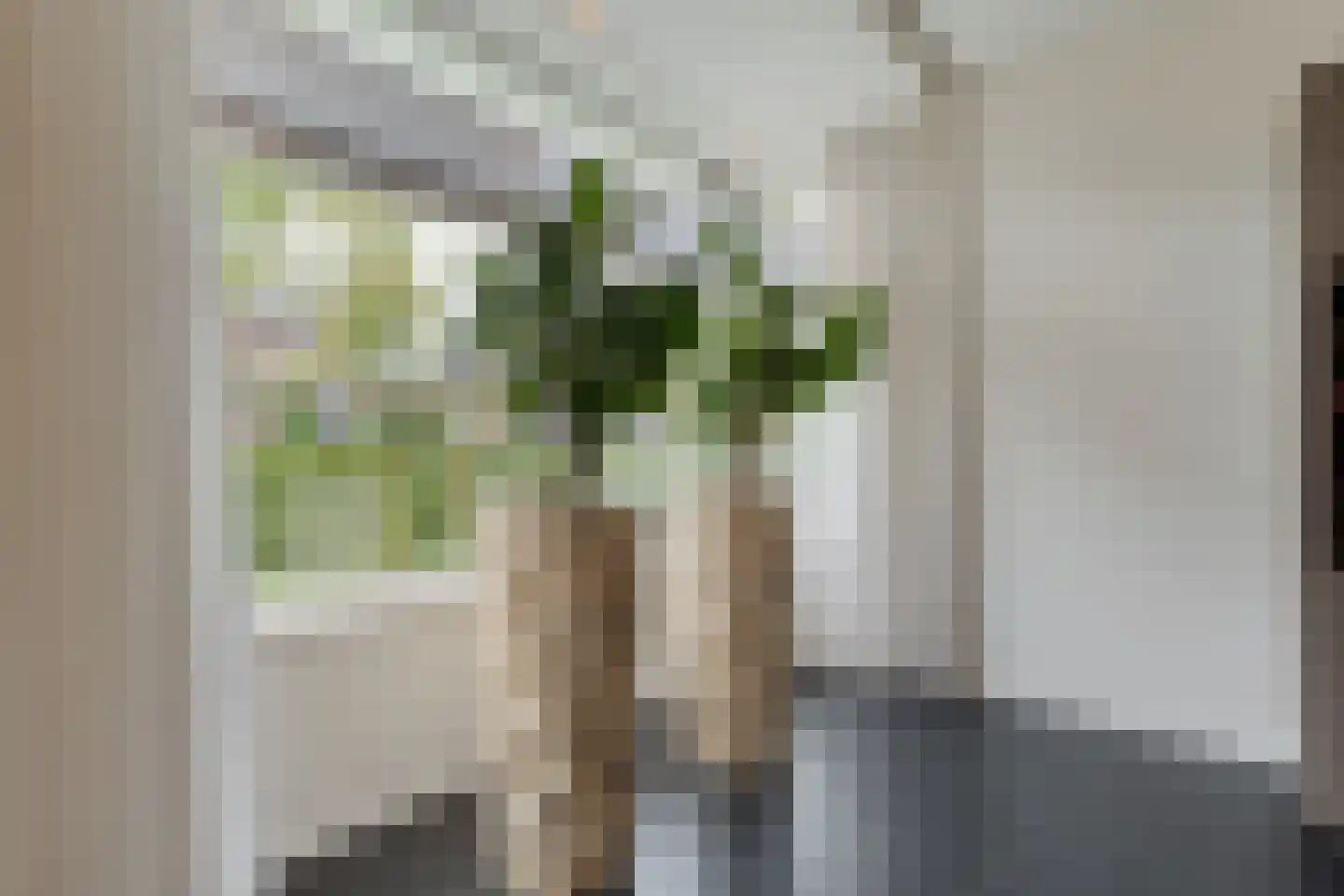Molckenbourstraat 27 Hardenberg thumbnail 9
