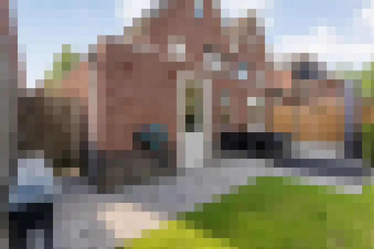 Molckenbourstraat 39 Hardenberg thumbnail 36