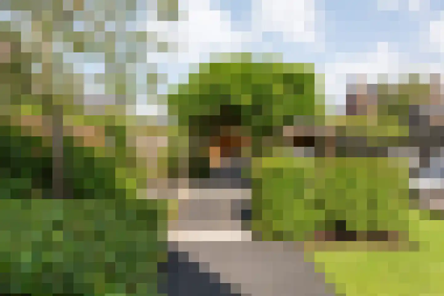 Molckenbourstraat 39 Hardenberg thumbnail 38