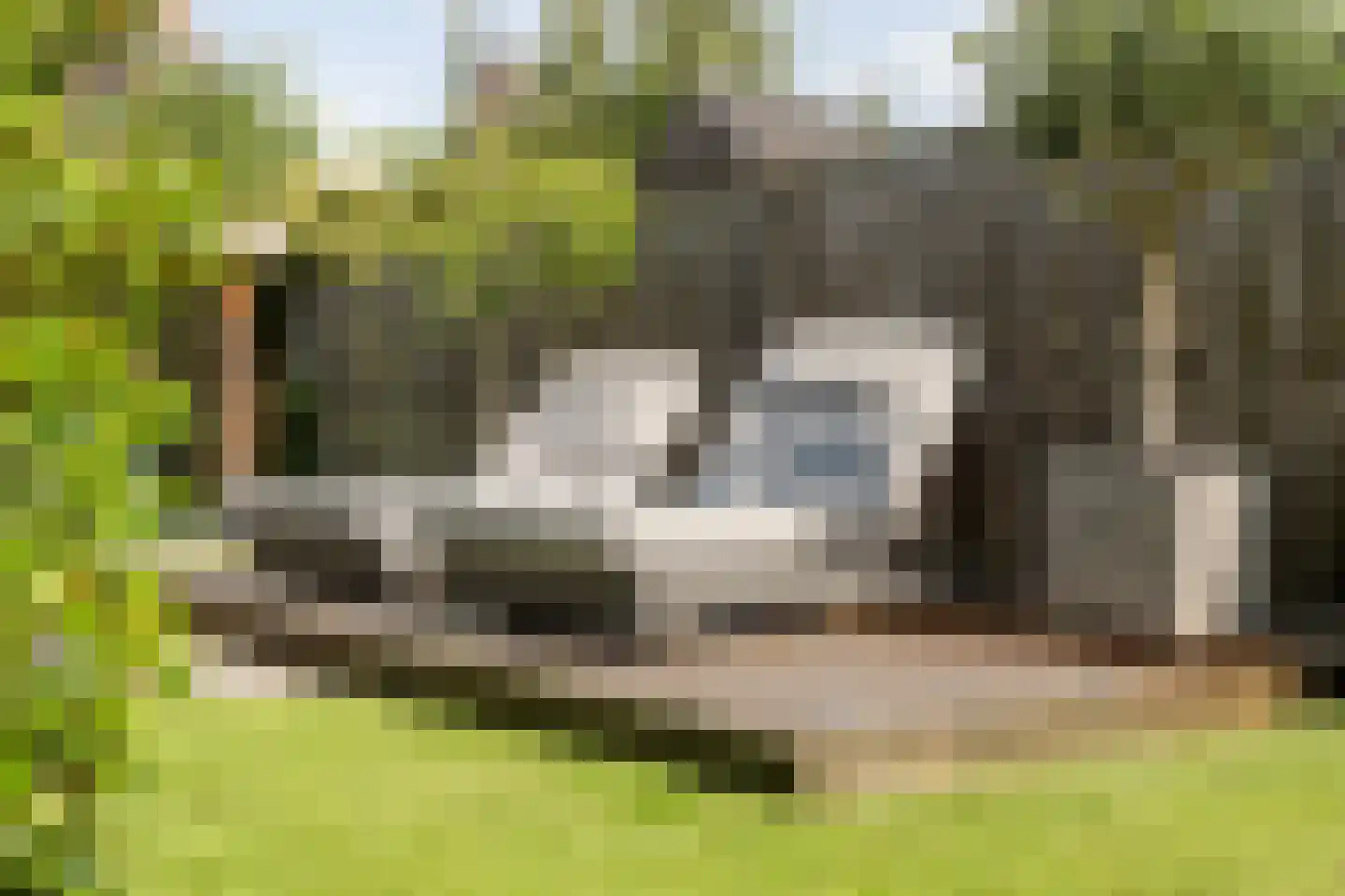 Molckenbourstraat 39 Hardenberg thumbnail 39