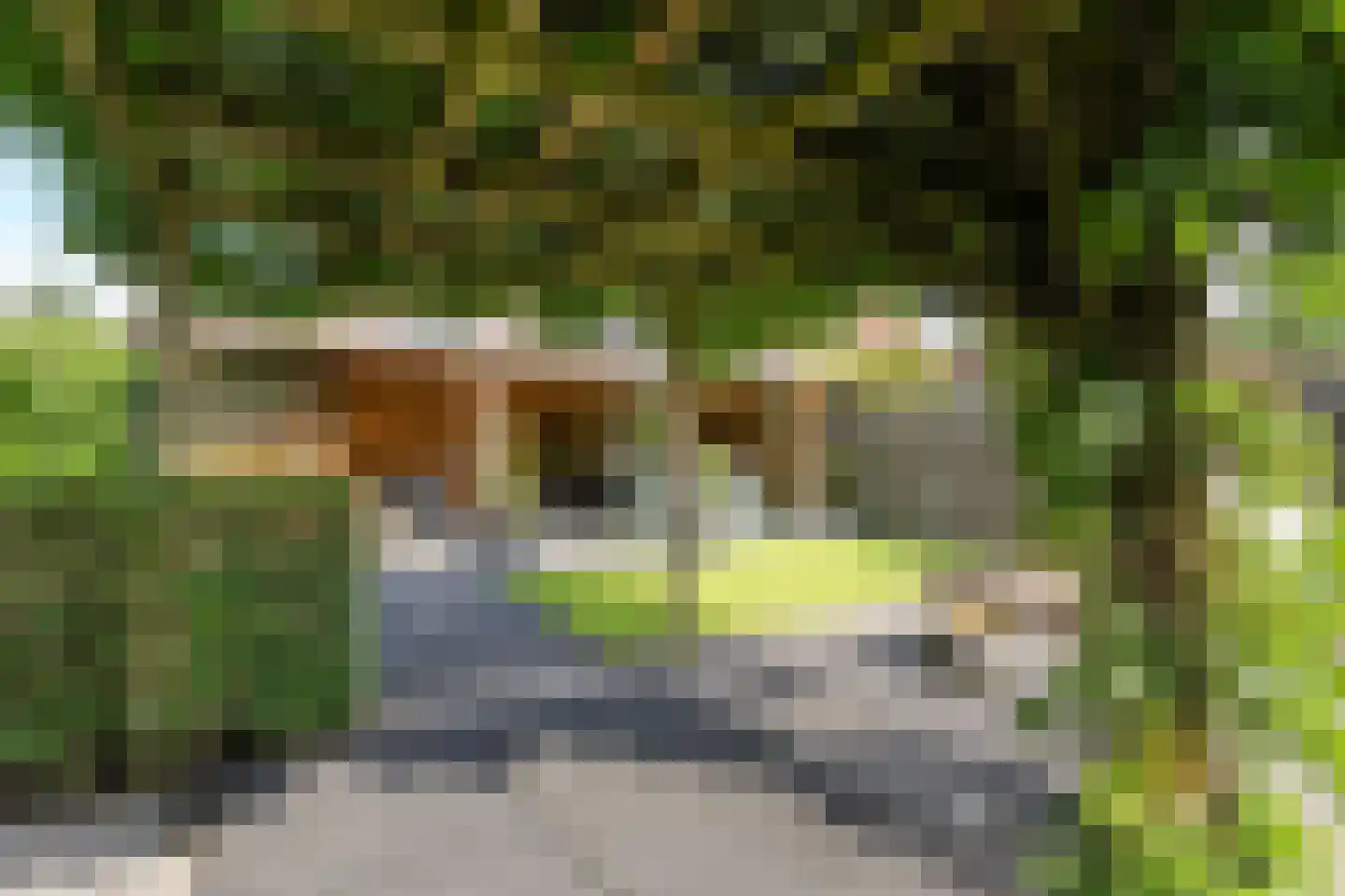 Molckenbourstraat 39 Hardenberg thumbnail 40