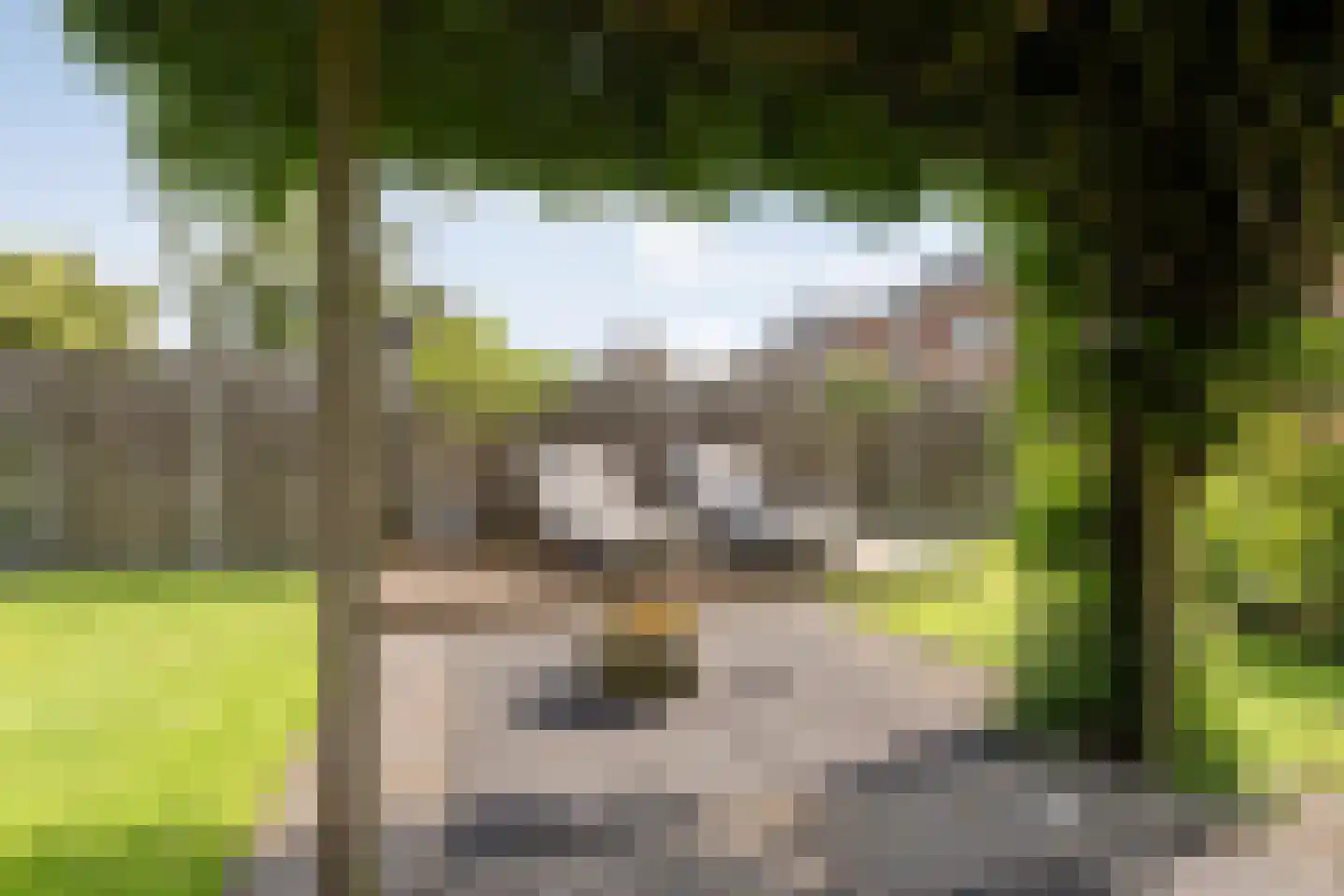 Molckenbourstraat 39 Hardenberg thumbnail 41