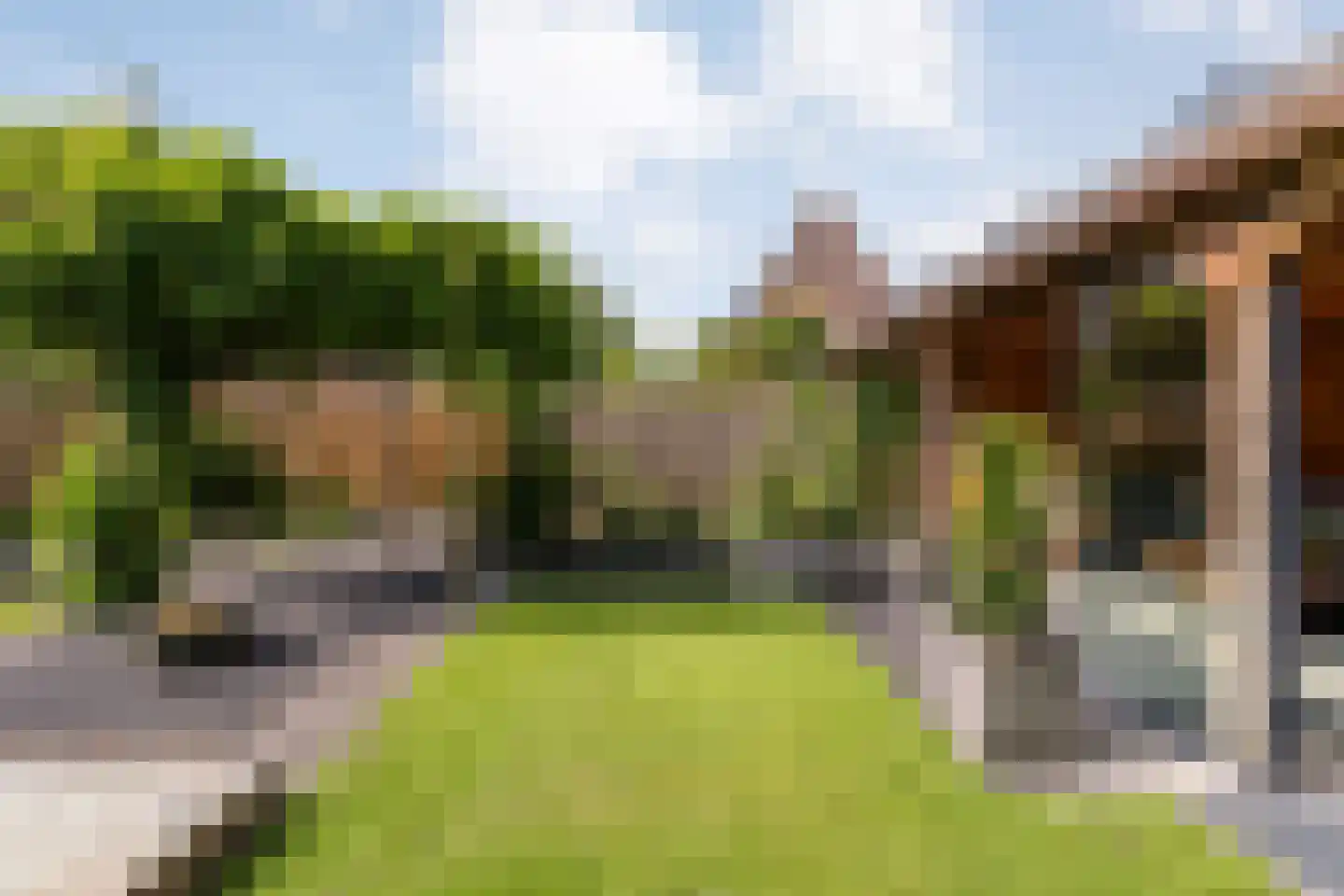 Molckenbourstraat 39 Hardenberg thumbnail 44