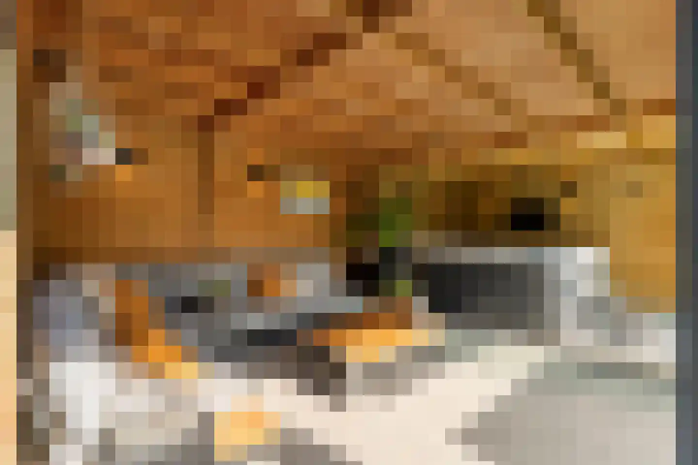 Molckenbourstraat 39 Hardenberg thumbnail 45