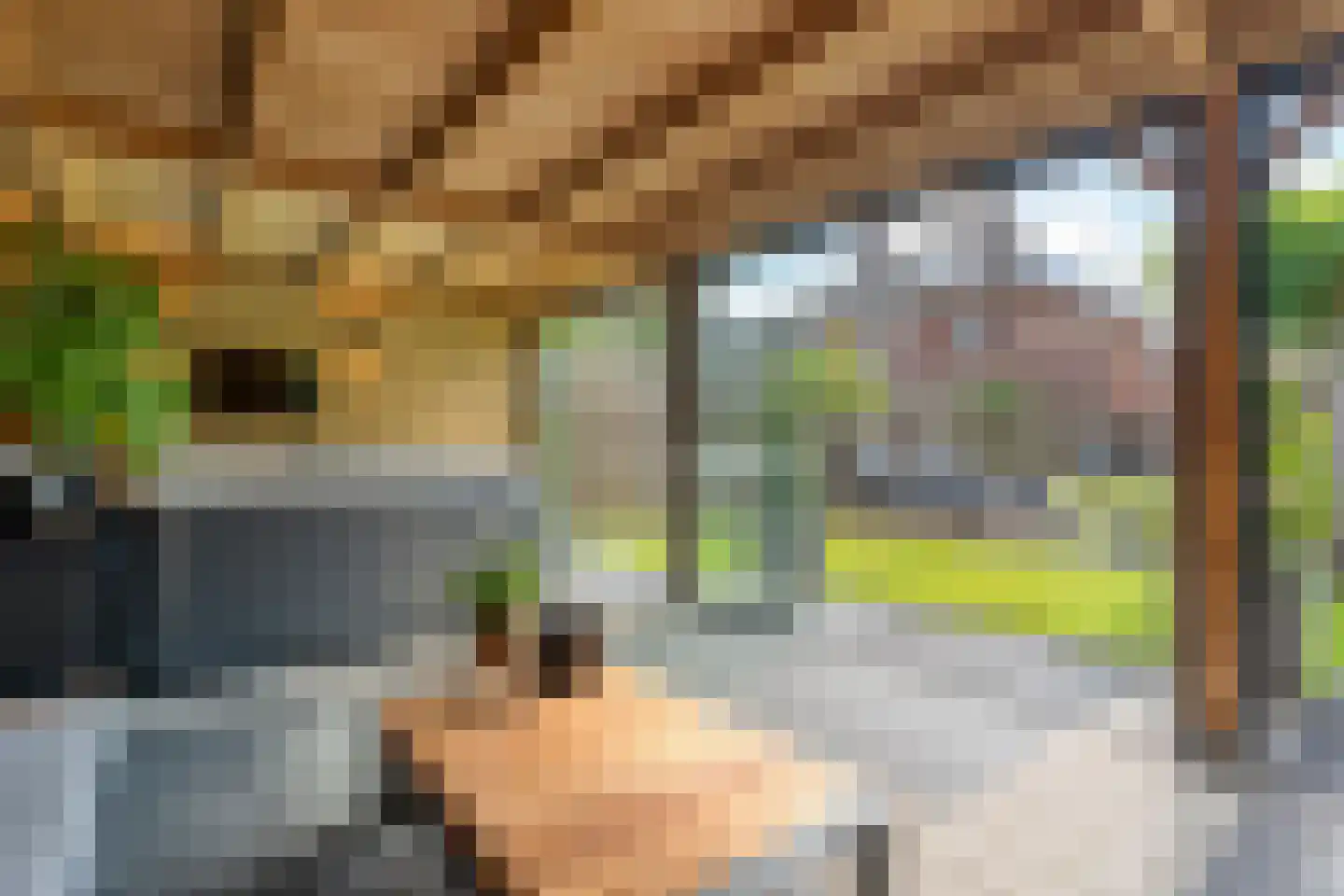 Molckenbourstraat 39 Hardenberg thumbnail 47
