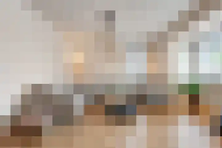 Molckenbourstraat 47 Hardenberg thumbnail 17
