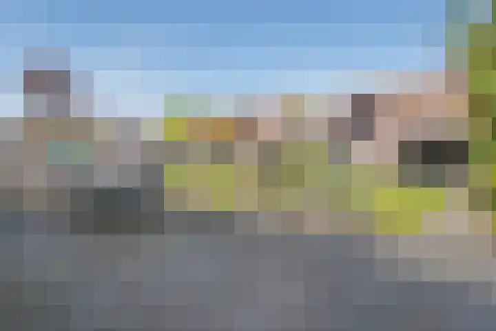 Molckenbourstraat 47 Hardenberg thumbnail 43
