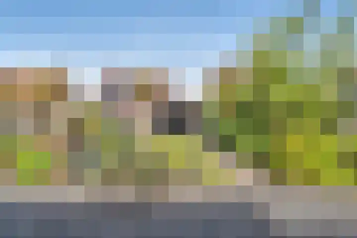 Molckenbourstraat 47 Hardenberg thumbnail 44
