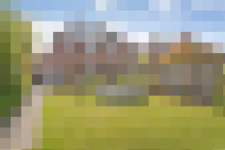 Molckenbourstraat 47 Hardenberg thumbnail 45