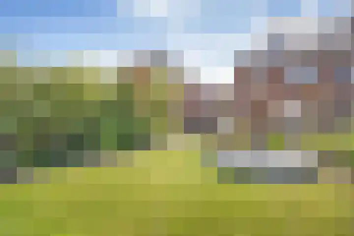 Molckenbourstraat 47 Hardenberg thumbnail 46
