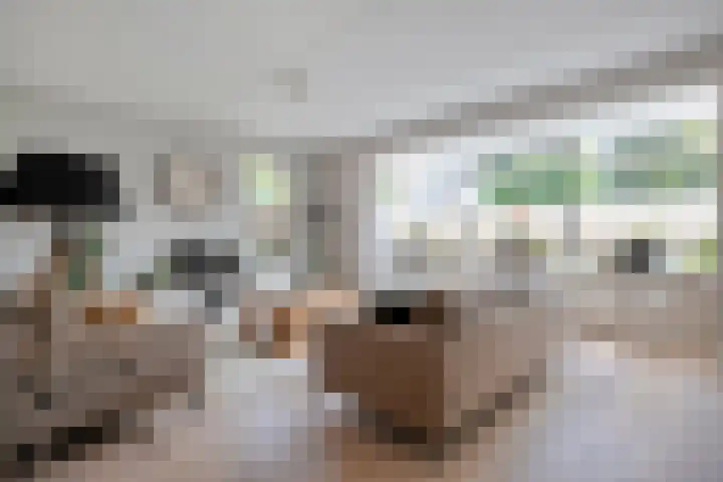 Molckenbourstraat 51 Hardenberg thumbnail 10
