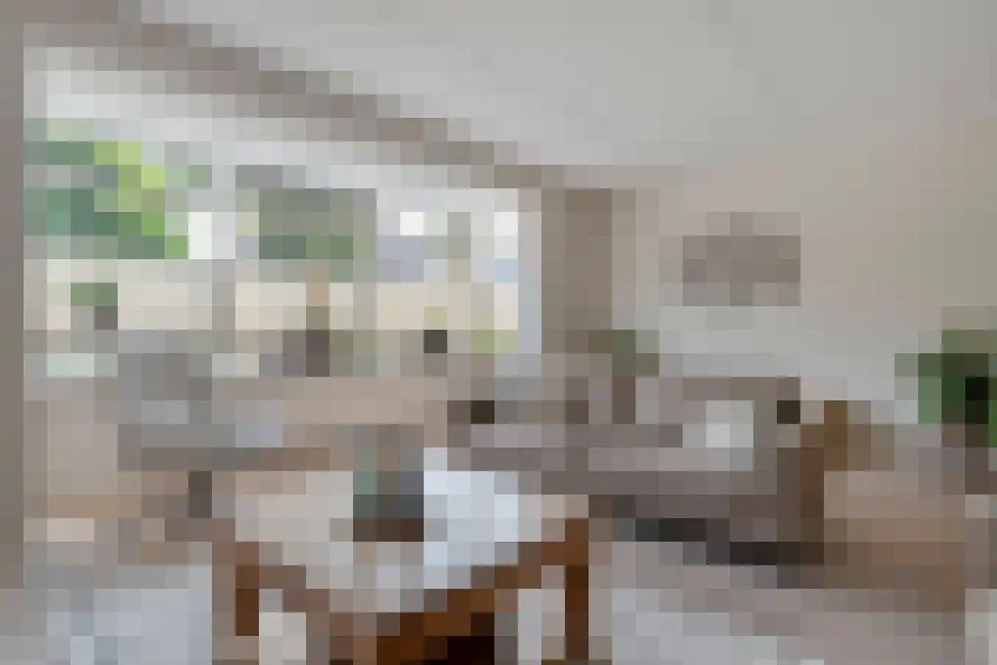 Molckenbourstraat 51 Hardenberg thumbnail 13