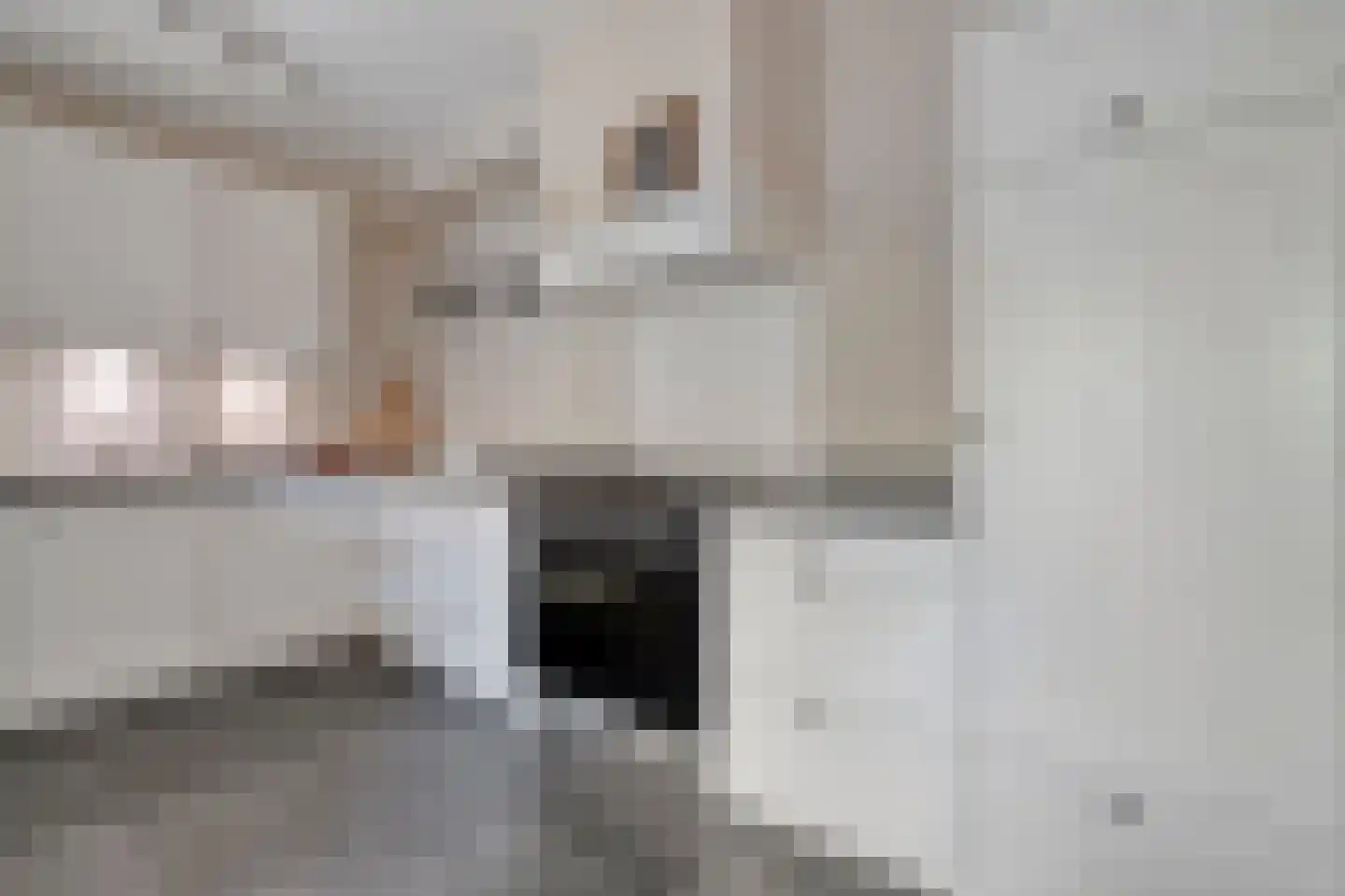 Molckenbourstraat 51 Hardenberg thumbnail 18